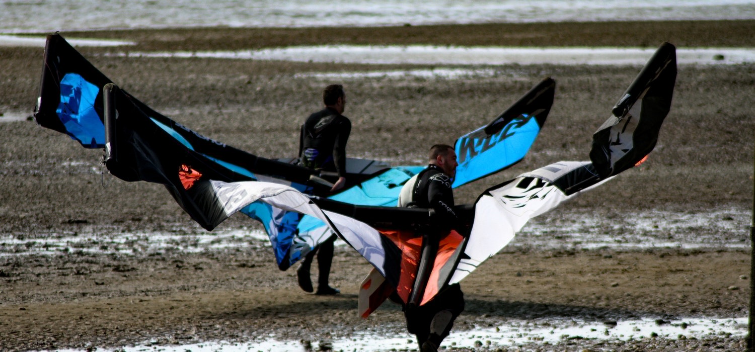 Eum Iriure Dolor Duis Autem