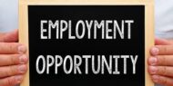 Employment