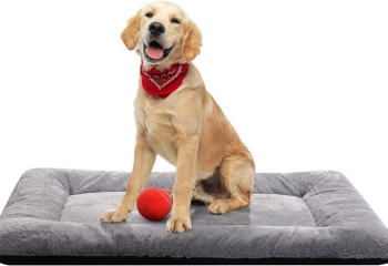 Dog Beds Crate Pad for Medium/Large Dogs Fit Metal