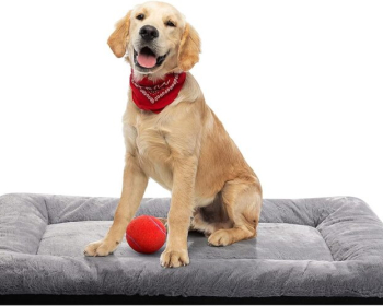Dog Beds Crate Pad for Medium/Large Dogs Fit Metal