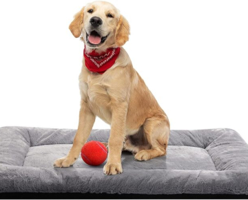 Dog Beds Crate Pad for Medium/Large Dogs Fit Metal