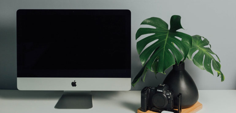 Wild Life Photography With John Shaw